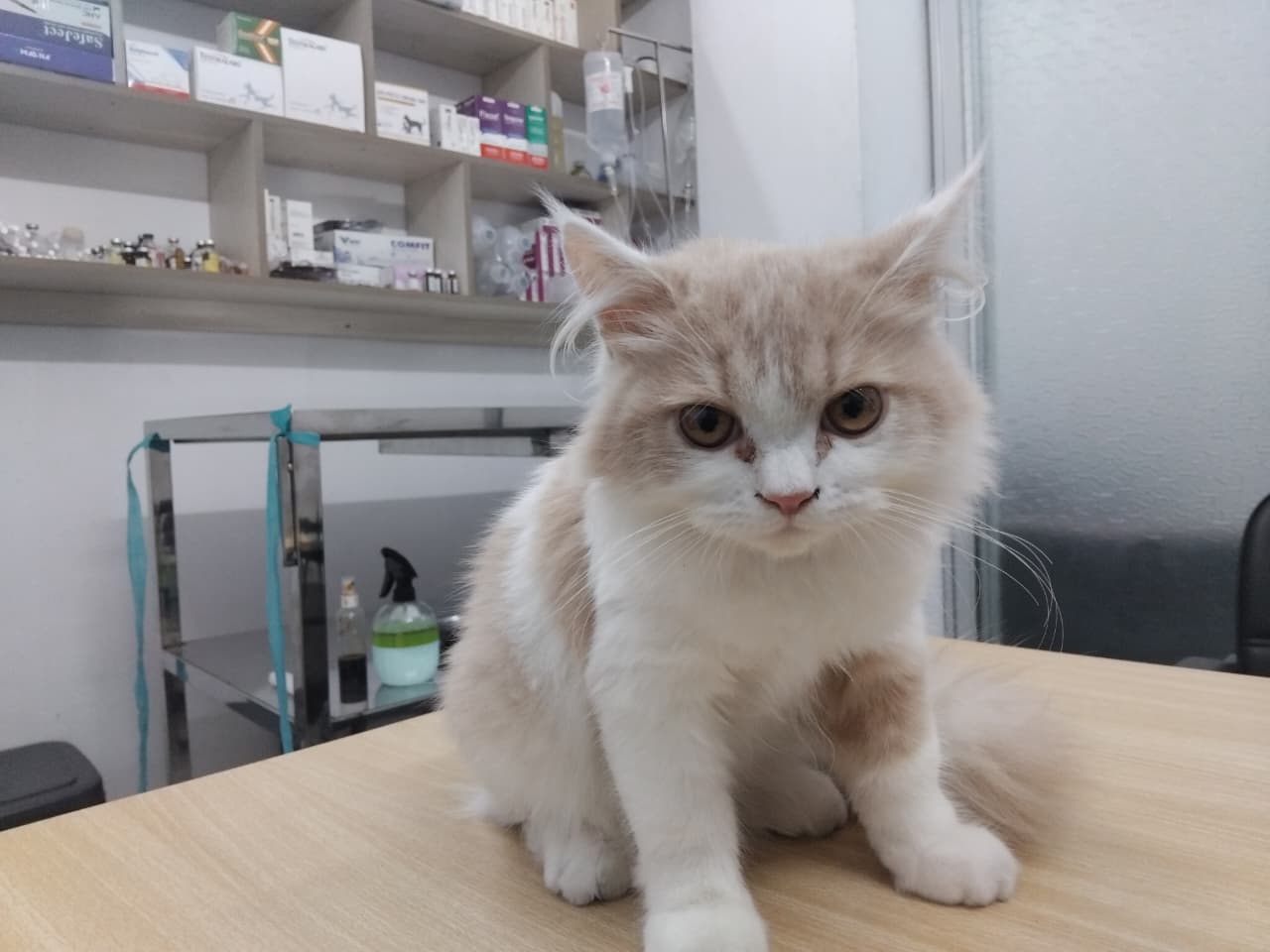 Welcoming exam room
